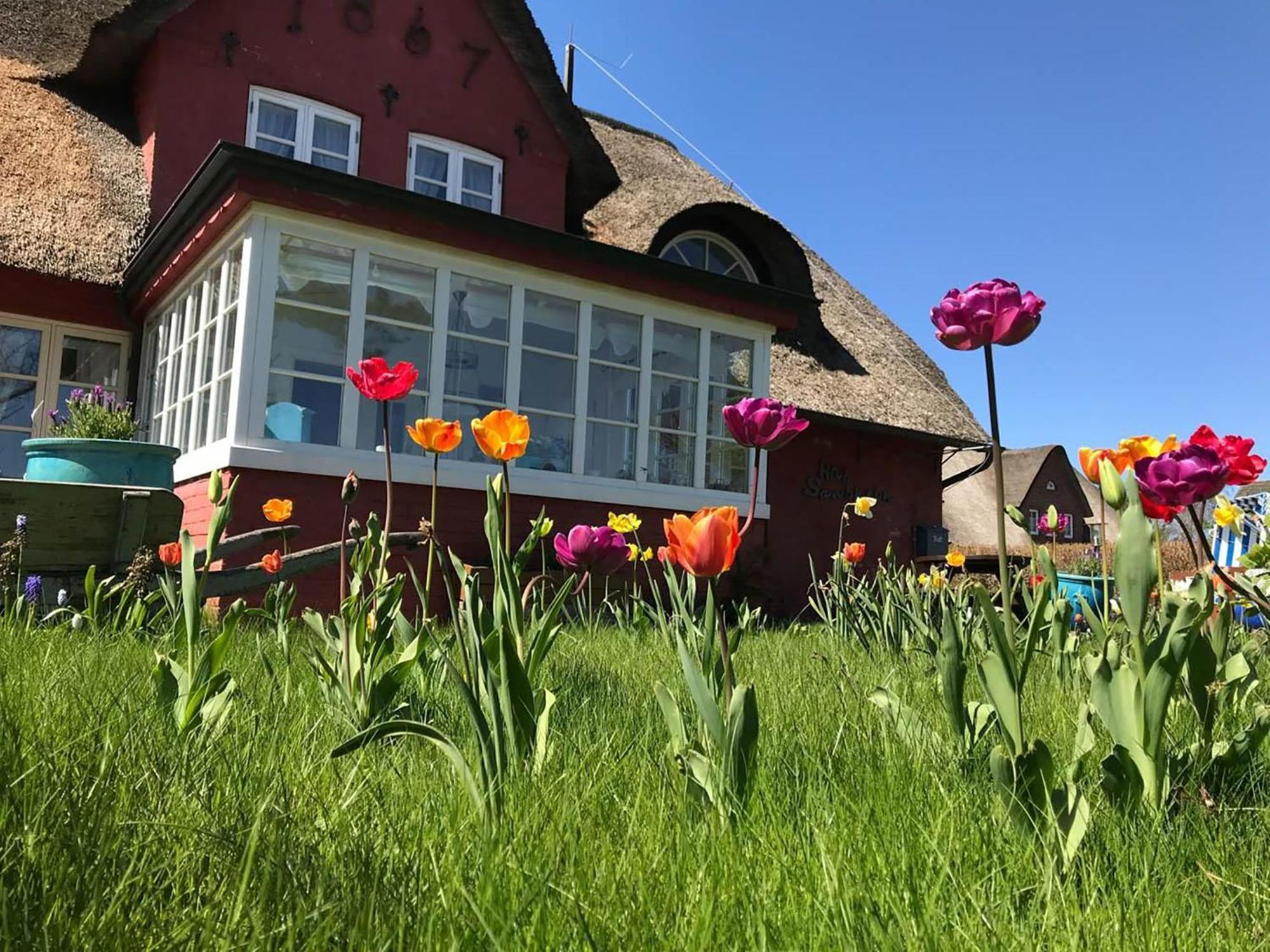 Hues Sanskiin Ferienwohnung *Aawerkant* Suddorf 外观 照片